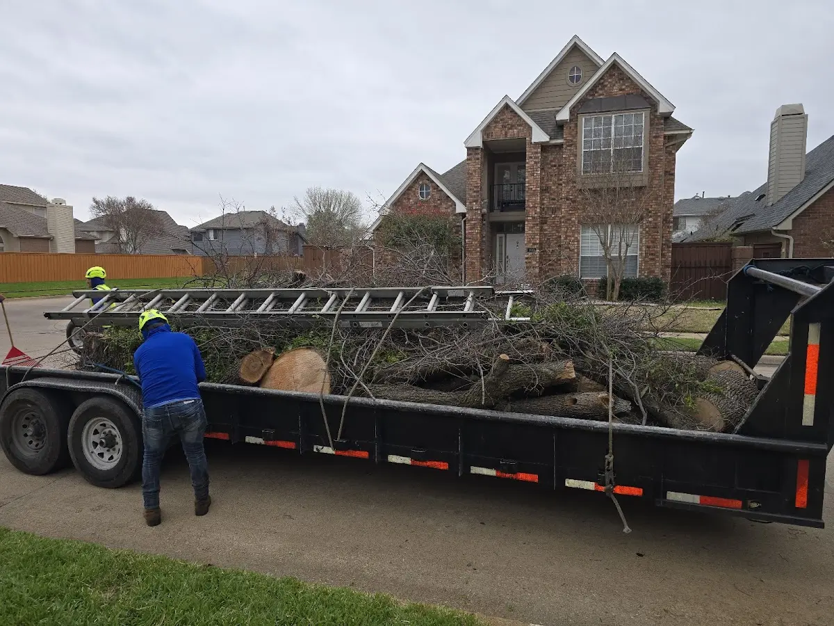 Expert Tree Fertilization with proper safety equipment in Kaysville